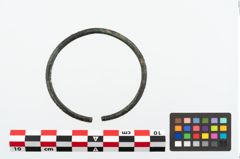 Foto von Bronzearmreif (NHMW-PRAE-025170)